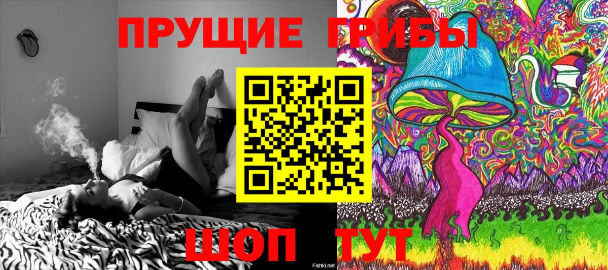 Галлюциногенные грибы Magic Shrooms  Вход с VPN  Псилоцибиновые грибы ЛСД  Южно-Сахалинск 